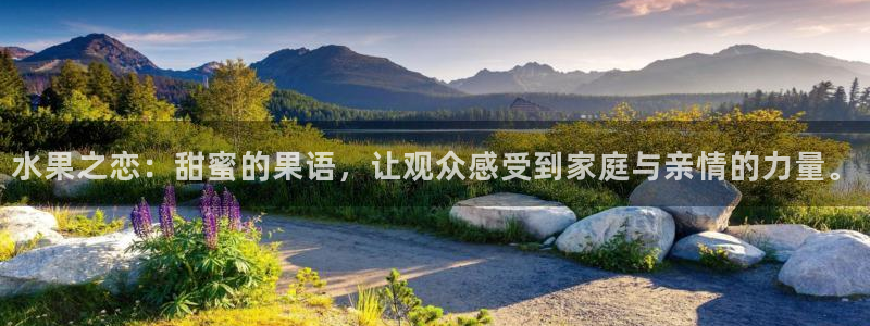 黑蚂蚁影视电视剧官网