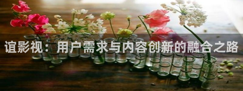 《黑蚂蚁》电视剧：谊影视：用户需求与内容创新的融合之路