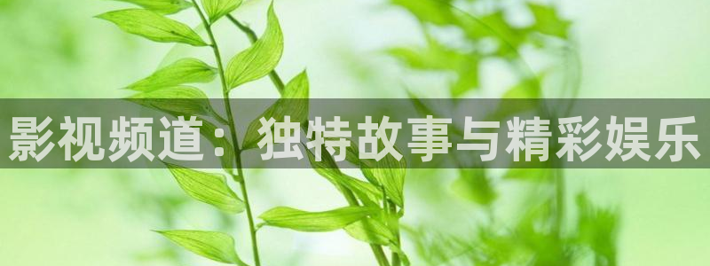 黑蚂蚁影视全部电视剧：影视频道：独特故事与精彩娱乐