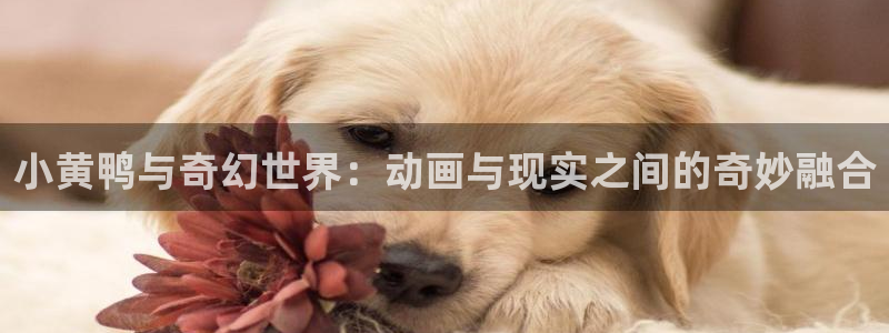 黑蚂蚁在线观看：小黄鸭与奇幻世界：动画与现实之间的奇妙融合