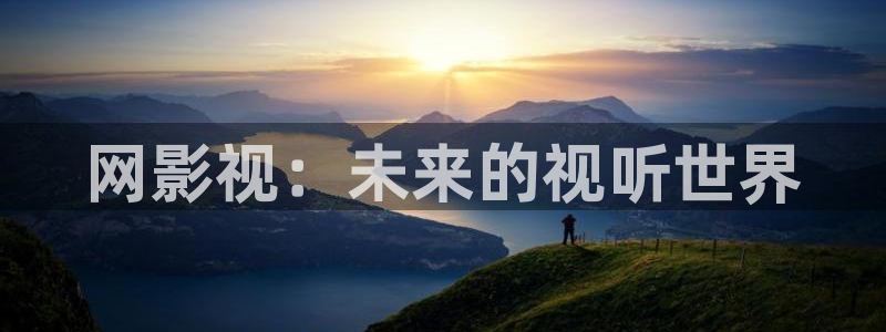 黑蚂蚁影剧：网影视：未来的视听世界