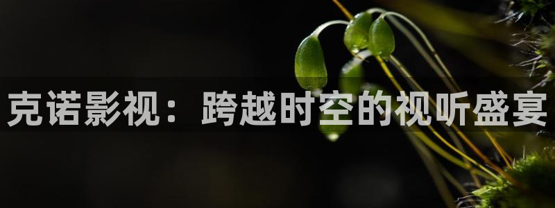 黑蚂蚁影视大全：克诺影视：跨越时空的视听盛宴