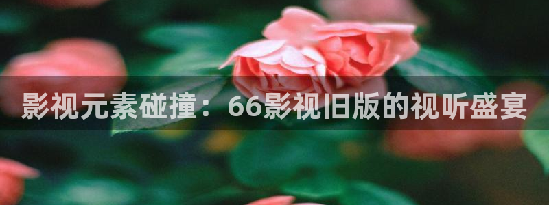 黑蚂蚁影院免费看电视剧