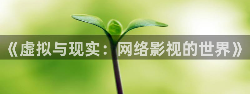 黑蚂蚁影院免费电视剧：《虚拟与现实：网络影视的世界》