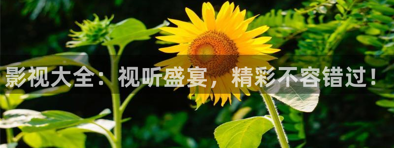 黑蚂蚁短剧网：影视大全：视听盛宴，精彩不容错过！