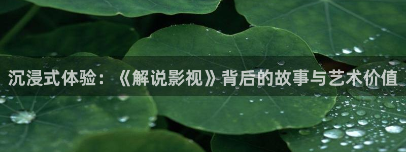 蚂蚁影视黑蚂蚁电影院：沉浸式体验：《解说影视》背后的故事与艺术价值