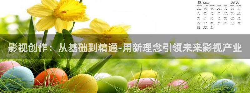 黑蚂蚁影片：影视创作：从基础到精通-用新理念引领未来影视产业
