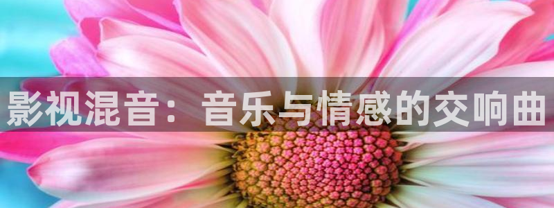 蚂蚁影视-黑蚂蚁电影院：影视混音：音乐与情感的交响曲
